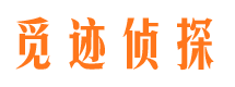 大丰外遇出轨调查取证